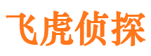 河东区市侦探公司